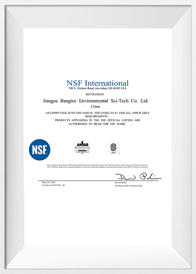 NSF Uluslararası