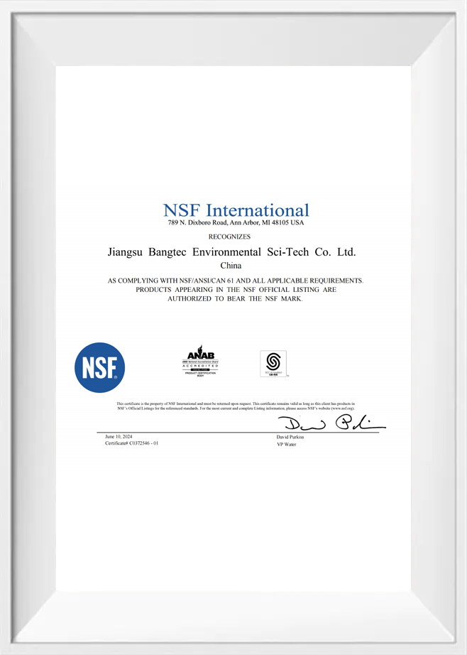 NSF Uluslararası